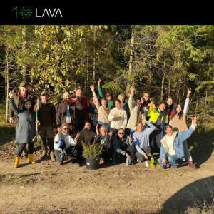 LAVA post (18)
