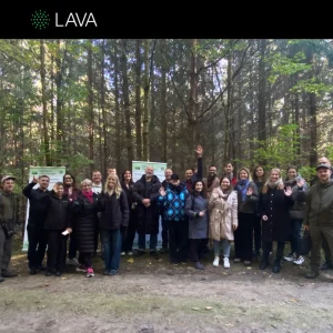 LAVA post (44)