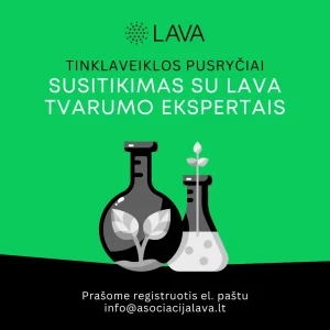 LAVA vizualai_susitikimas su ekspertais