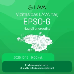 LAVA vizualas_EPSO-G