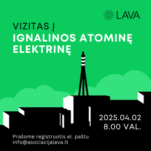 Vizitas į IAE