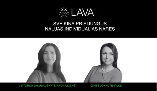 Vizualas naujienai_lapkričio individualios narės